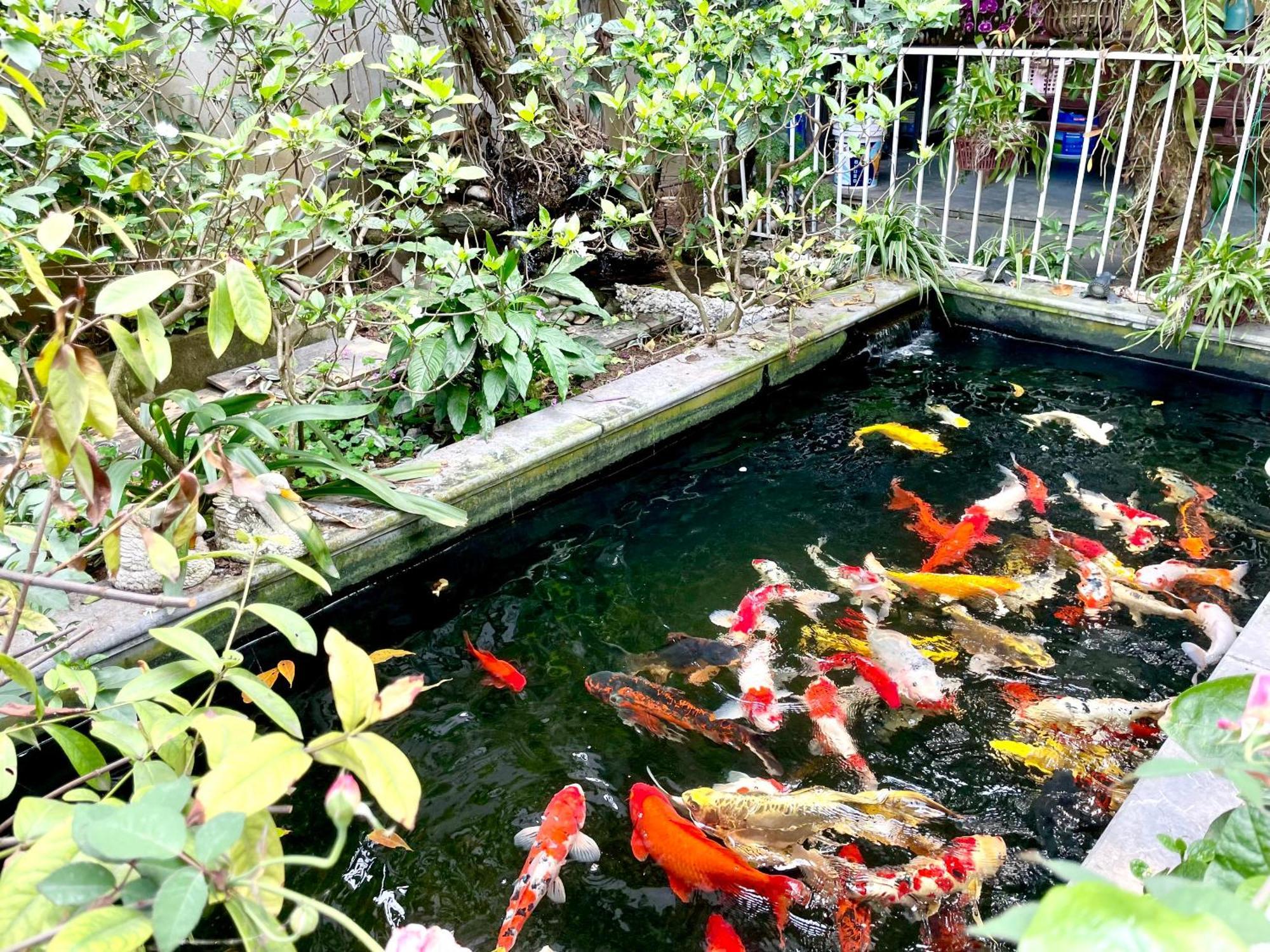 Lee Homestay Hanoi Buitenkant foto