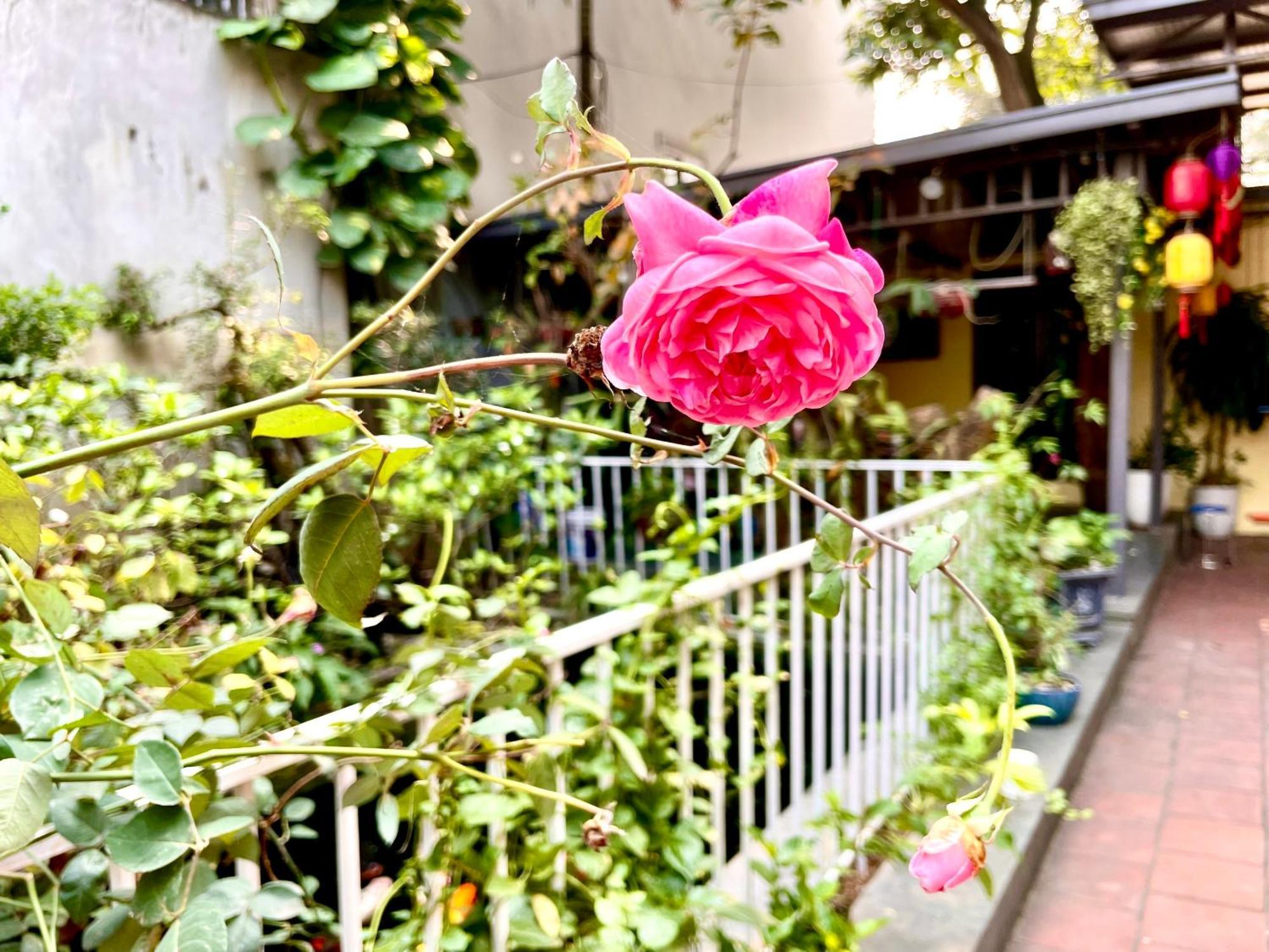 Lee Homestay Hanoi Buitenkant foto